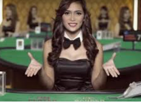 333体育官网下载正式版