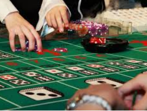 333体育官网下载电脑免费版